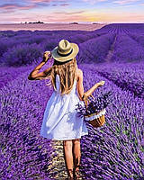 Набор для рисования картин по номерам (раскраска) Девушка в поле лаванды