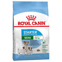 Корм для новонароджених собак ROYAL CANIN MINI STARTER 8 кг