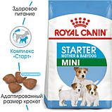 Корм для новонароджених собак ROYAL CANIN MINI STARTER 8 кг, фото 2