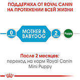 Корм для новонароджених собак ROYAL CANIN MINI STARTER 8 кг, фото 4