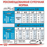 Корм для новонароджених собак ROYAL CANIN MINI STARTER 8 кг, фото 6