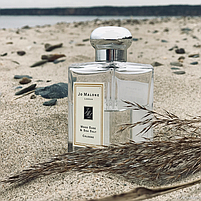 Jo Malone Wood Sage & Sea Salt Одеколон 100 ml (Джо Малон Сіль Одеколон Унісекс), фото 7