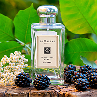 Jo Malone Blackberry Bay Одеколон 100 ml (Джо Малон Блекберрі Жіночі), фото 3