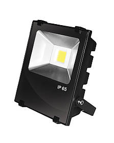 LED-прожектор EUROELECTRIC COB чорний з радіатором 10W 6500 K modern