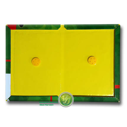 Клейова пастка «Пацюкофф» 16х22 см (книжка маленька), оригінал, фото 1