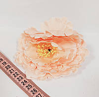 Головка пион розово-персиковый (2шт)