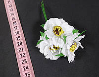 Дикий мак (букет из 6 цветков) цвет - белый