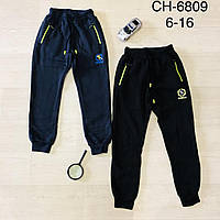 Спортивные утепленные штаны для мальчиков оптом, S&D, 6-16 лет, № CH-6809
