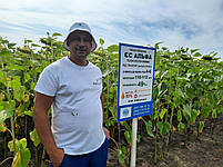 Насіння соняшника [ЄС АЛЬФА]. Насіння (ЕС АЛЬФА). Соняшник "ЕС АЛЬФА". АЛЬФА ЕЛІТА СЕЛЕКТ. Стандарт плюс, фото 8