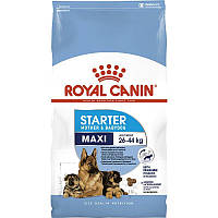 Сухий корм для щенят великих порід до 2 місяців, 15 кг. Royal Canin Maxi Starter