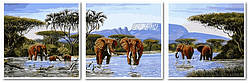 Розмальовка для дорослих Babylon Слони на водопоі (VPT053) 50 х 150 см