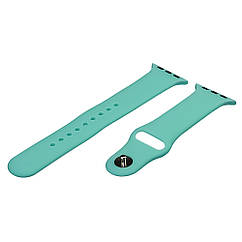 DR Ремінець силіконовий для Apple Watch Sport Band 38/ 40/ 41 mm розмір L колір 31
