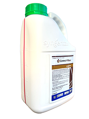 Протруювач Селест Макс 165 Syngenta - 5 л, фото 2
