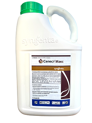 Протруювач Селест Макс 165 Syngenta - 5 л, фото 2