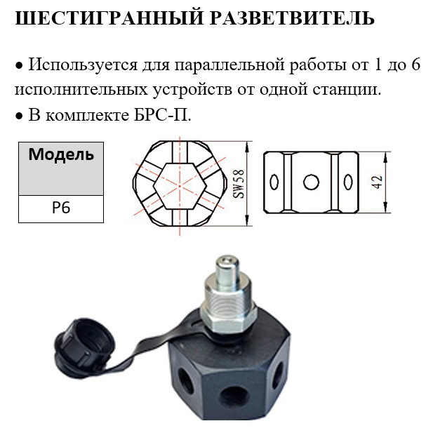 Шестірний розвідувач Р6