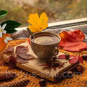 Almost Autumn, косметичний ароматизатор для мила, свічок, США, ваніль 2,8%