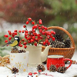 Berry Merry Christmas №41, косметичний ароматизатор для мила, свічок, США, ваніль 0 %