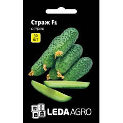 Насіння огірка Страж F1, 50 насінин — партенокарпічний огірок, Leda Agro, фото 1