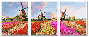 Картина за номерами Різнокольорові тюльпани Триптих 50 х 120 см (VPT059)