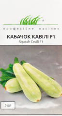 Насіння Кабачок Кавілі F1 5 шт зіп-пакет /Нідерланди/