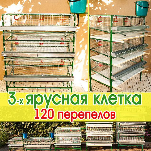 Клітка для перепелів 3-ярусна, для утримання 115 до 150 дорослих перепелів