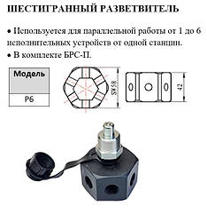 Шестірний розвідувач Р6