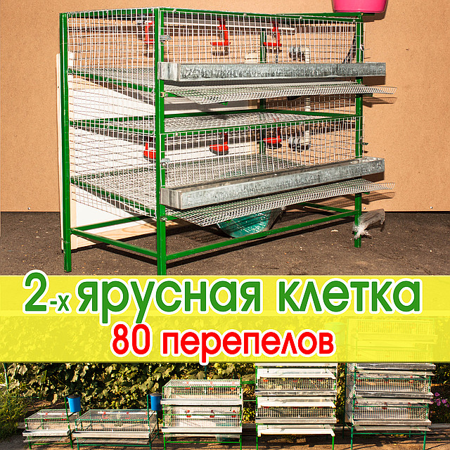 Где Купить Сетку Для Перепелов В Саратове