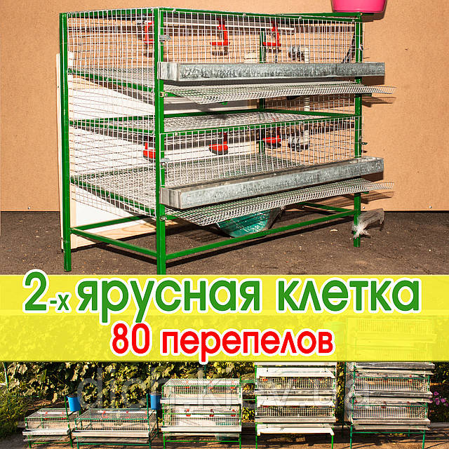 Клітка для перепілів, двоярусна, металева, місткістю від 60 до 100 дорослих