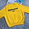 Тепла кофта світшот для хлопчика байковий Жовтий Y-8118 15, Жёлтый, Унисекс, Осень Зима, 11 , 7 лет, фото 3
