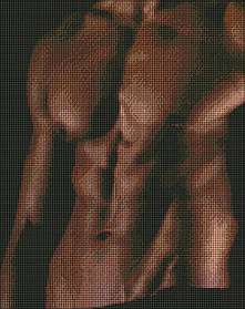 Алмазна мозаїка Спокуса 40*50 см AMO 7307