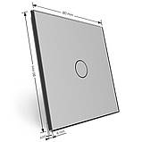 Панель для сенсорного вимикача 1 сенсор (1) Livolo сірий скло (VL-P701-2I), фото 3