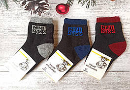Шкарпетки дитячі Friendly Socks 3031016-001 сер. махра різні кольори р.16 (уп.12 пар)