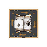 Розетка комп'ютерна RJ-45 і ТБ розетка Livolo золото скло (VL-C791VC-13), фото 5