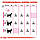 Корм для котів ROYAL CANIN EXIGENT PROTEIN 2.0 кг, вибагливих до поживності раціону, фото 5