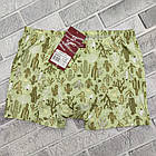 Боксери чоловічі бавовняні BONO (Арт: 950434) р. 52 кактуси 30036617, фото 4