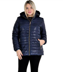 Стильна жіноча демісезонна куртка стьобана великих розмірів, курточка весняно осіння батал "Леді"