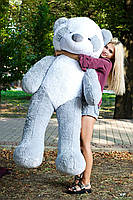 Плюшева Панда 2 метри. Велика Плюшева Панда. Велика М'яка іграшка сіра Плюшева Панда 200 см, фото 2