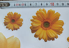 Наклейка на стіну, вінілові наклейки, стікери "Жовті хризантеми 11шт" на прозорій основі (лист 45*60см), фото 2