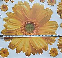 Наклейка на стіну, вінілові наклейки, стікери "Жовті хризантеми 11шт" на прозорій основі (лист 45*60см), фото 2