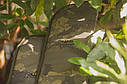 Чохол для вудлища Solar Undercover Camo Single Rod Sleeve 12ft, фото 4