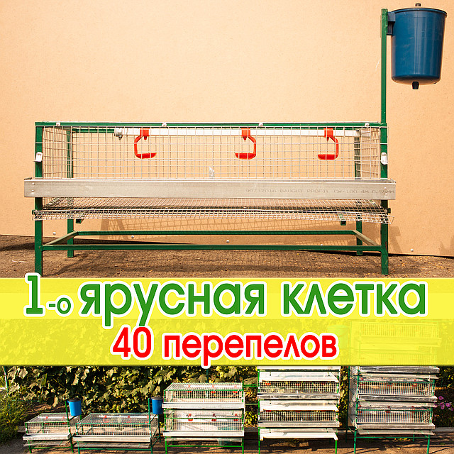 Клітка для 40-50 перепелів, металева