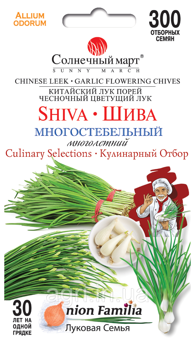 Цибуля Шива, 300шт.