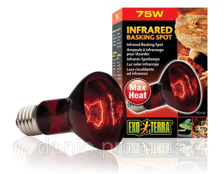 Hagen Exo Terra (Німеччина-67) Лампа Hagen Exo Terra Infrared Basking Spot Lamp R20/75W інфрачервона