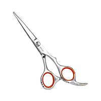 Перукарські ножиці для стрижки Sway Job прямі 5.50