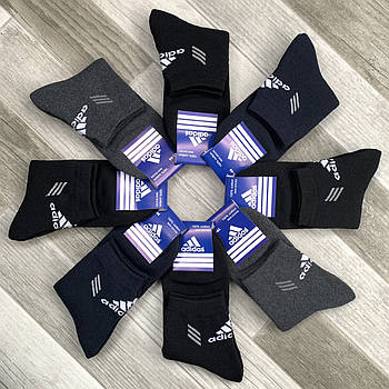 Шкарпетки чоловічі спортивні махрові бавовна Adidas, розмір 41-44, асорті, 09903