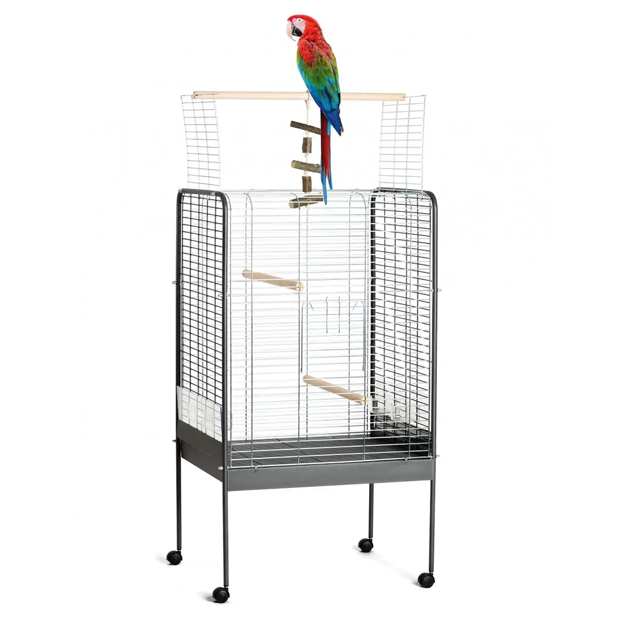 Как устроить идеальный вольер для канареек, попугаев и других пернатых питомцев дома