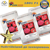 Насіння, томат 1801 F1 (великий високопродуктивний) ТМ "Spark Seeds (США), паковання 500 насіння