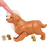 Barbie Newborn Pups HCK75 Лялька Барбі Новонароджені цуценята, фото 5
