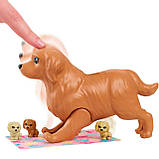 Barbie Newborn Pups HCK75 Лялька Барбі Новонароджені цуценята, фото 9