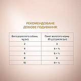 Корм для дорослих собак малих порід Club 4 Paws Selection Шматочки з яловичиною й овочами в соусі 0.085 кг, фото 3